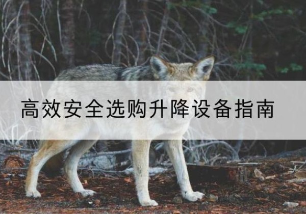 淮南升降货梯厂家推荐-*安全选购升降设备指南