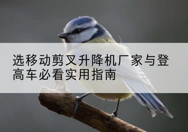 淮南电动升降机厂家-选移动剪叉升降机厂家与登高车必看实用指南